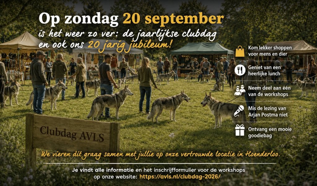 Saarlooswolfhond pups met stamboom AVLS, Dieren en Toebehoren, Parvo, Overige rassen, 8 tot 15 weken, Meerdere