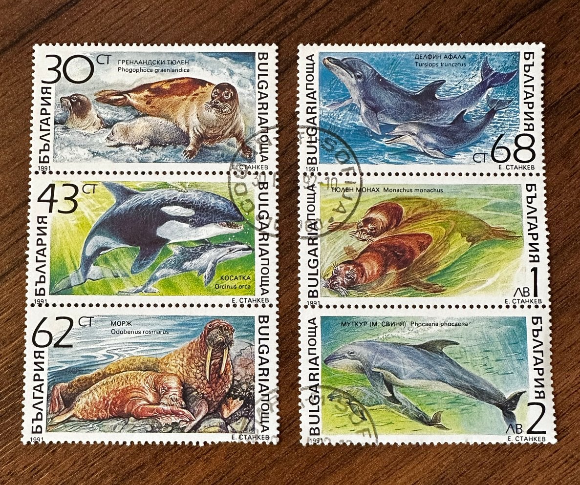 Bulgarije 1991: Dolfijnen en Zeehonden Postzegels (Gestempel, Ophalen of Verzenden, Bulgarije, Gestempeld