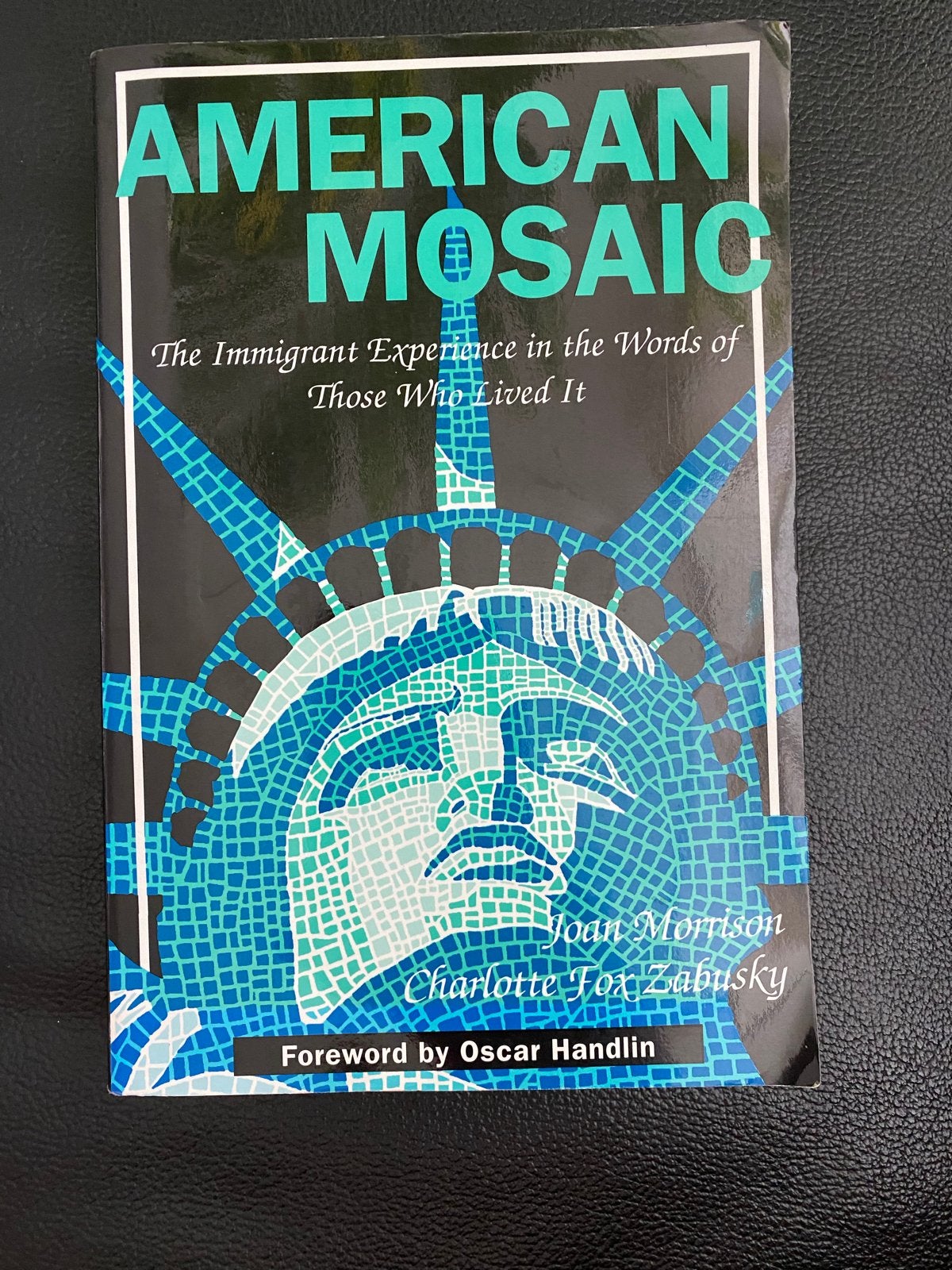 American Mosaic: The Immigrant Experience - Joan Morrison, Ophalen of Verzenden, Nieuw, Amerika