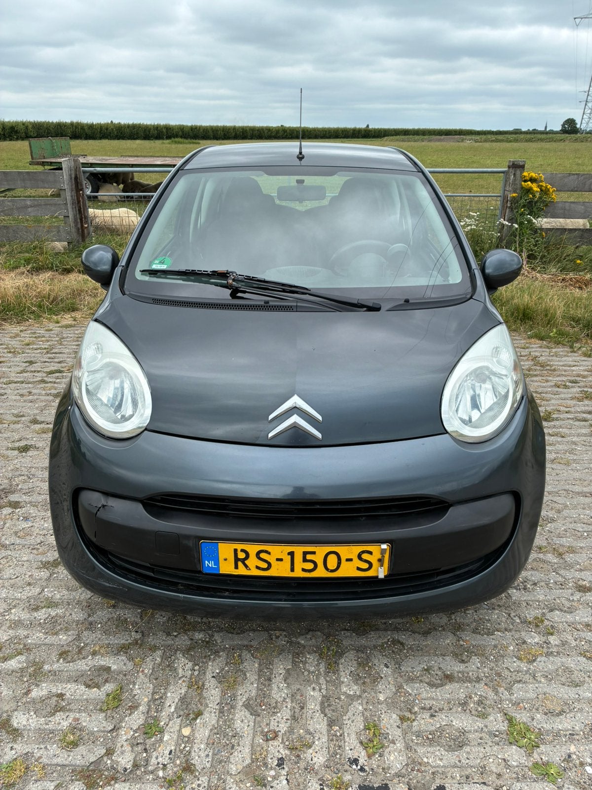 Citroën 2005 Grijs|cpv|elec ramen , nieuwe apk, Auto's, Voorwielaandrijving, Stof, 765 kg, 4 stoelen