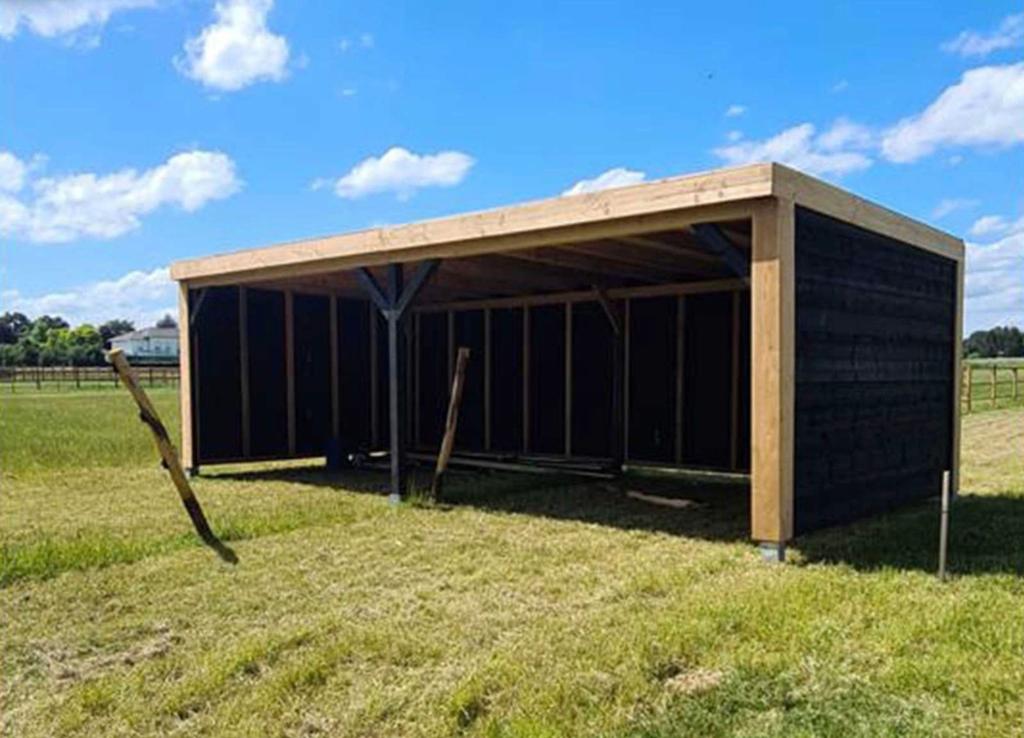 Overkapping Douglas compleet pakket 300x600 1450€, Tuin en Terras, Overkappingen, Ophalen of Verzenden, Nieuw