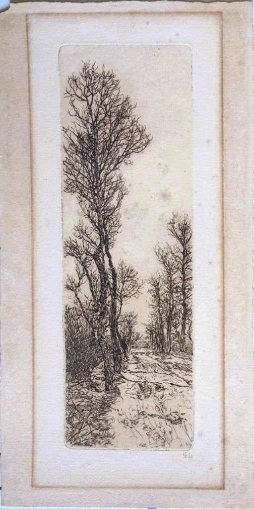 Gerrit Haverkamp ets "Zicht over Bospad ", 1902,  monogram, Ophalen, Ets, Met monogram, Landschap