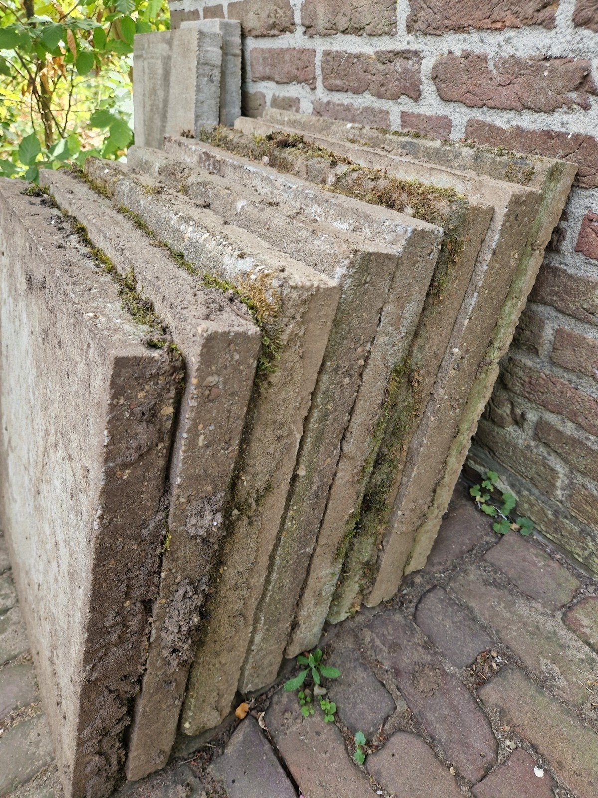 8 tegels 60x60 cm, Tuin en Terras, Tegels en Klinkers, Ophalen, Beton, Terrastegels