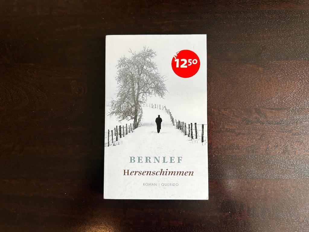 Bernlef - Hersenschimmen, Boeken, Nieuw, Ophalen of Verzenden, Nederland, J. Bernlef