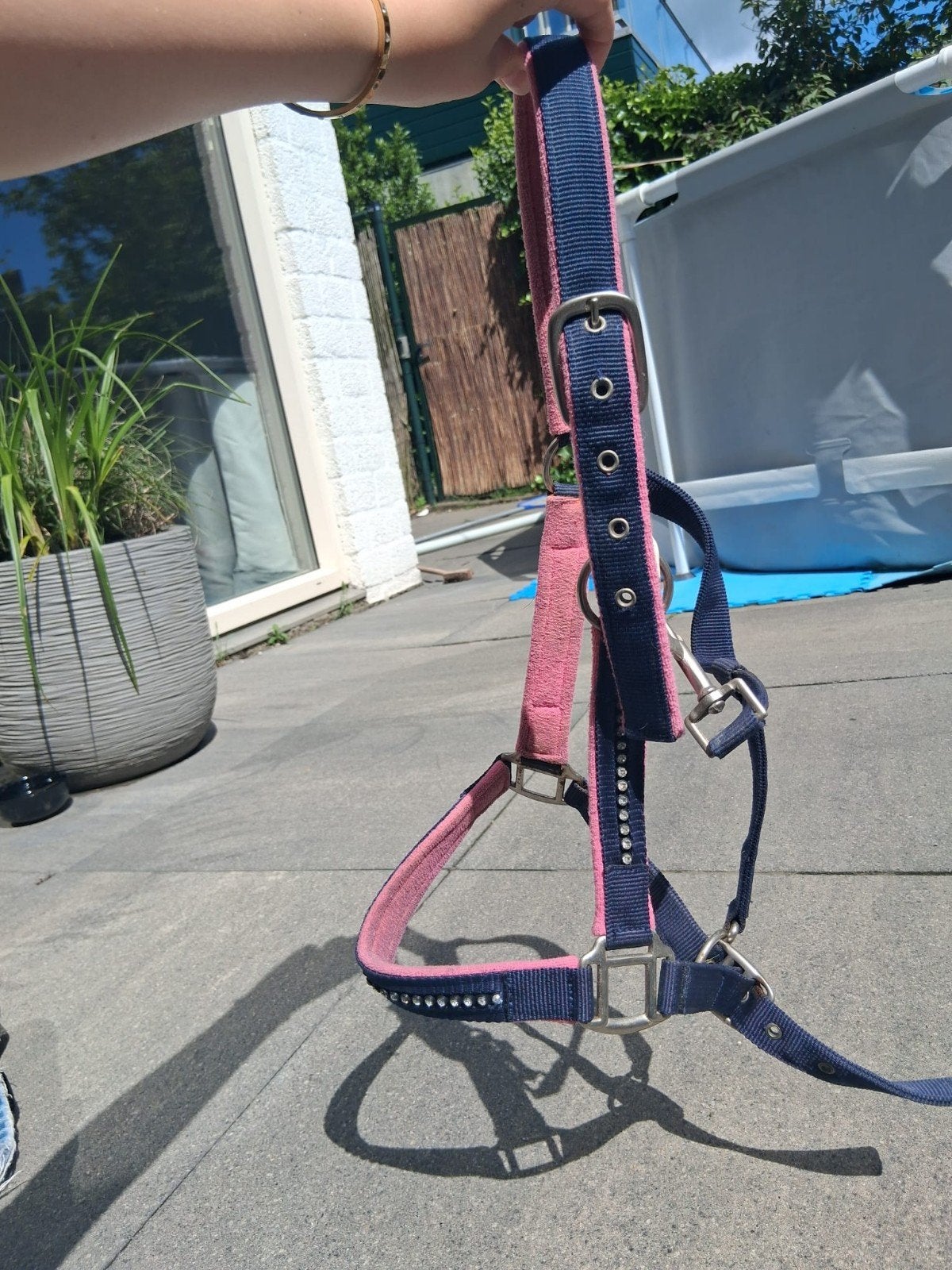 Blauw roze halster met steentjes maat cob, Ophalen, Nieuw, Dressuur