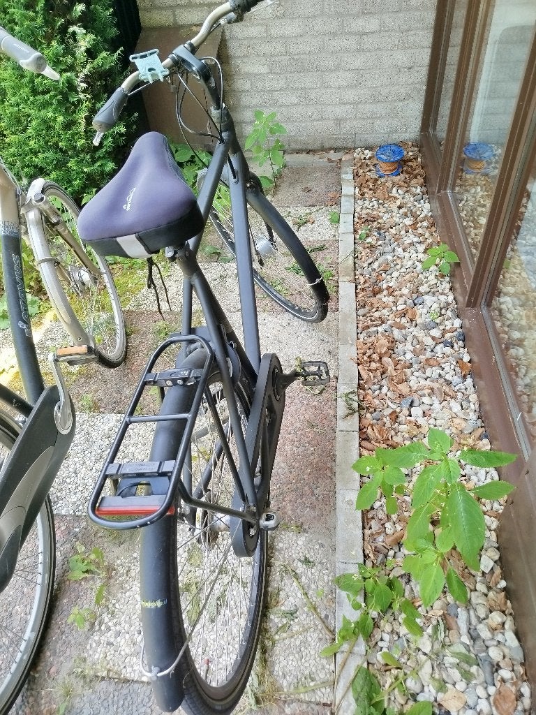 Batavus Fiets, Ophalen, Gebruikt, Versnellingen, Batavus