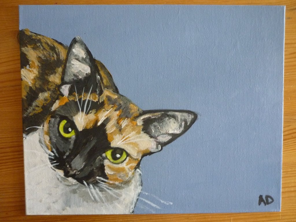 Poes, Ophalen of Verzenden