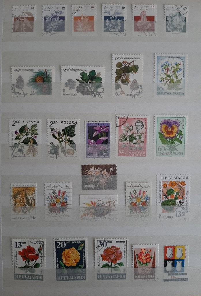3 Kaarten Postzegels Bijzondere en Mooiste Bloemen No. 10, Ophalen, Dier of Natuur