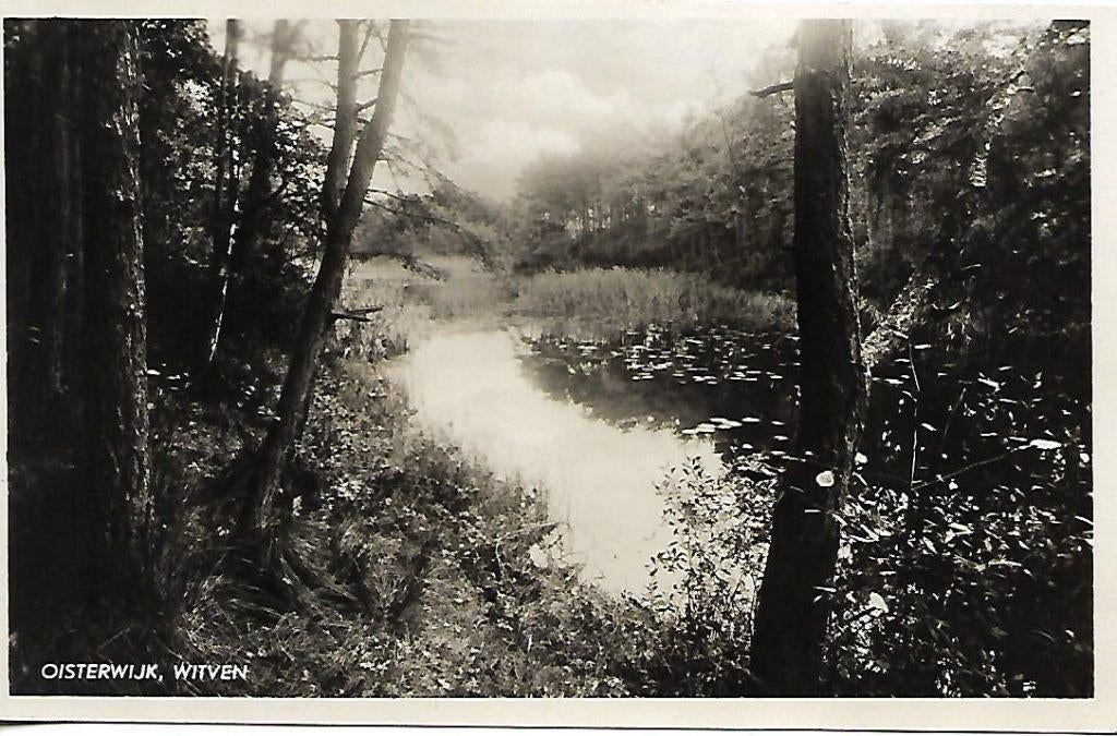 Oisterwijk- -Witven., Verzenden, 1940 tot 1960, Gelopen, Noord-Brabant