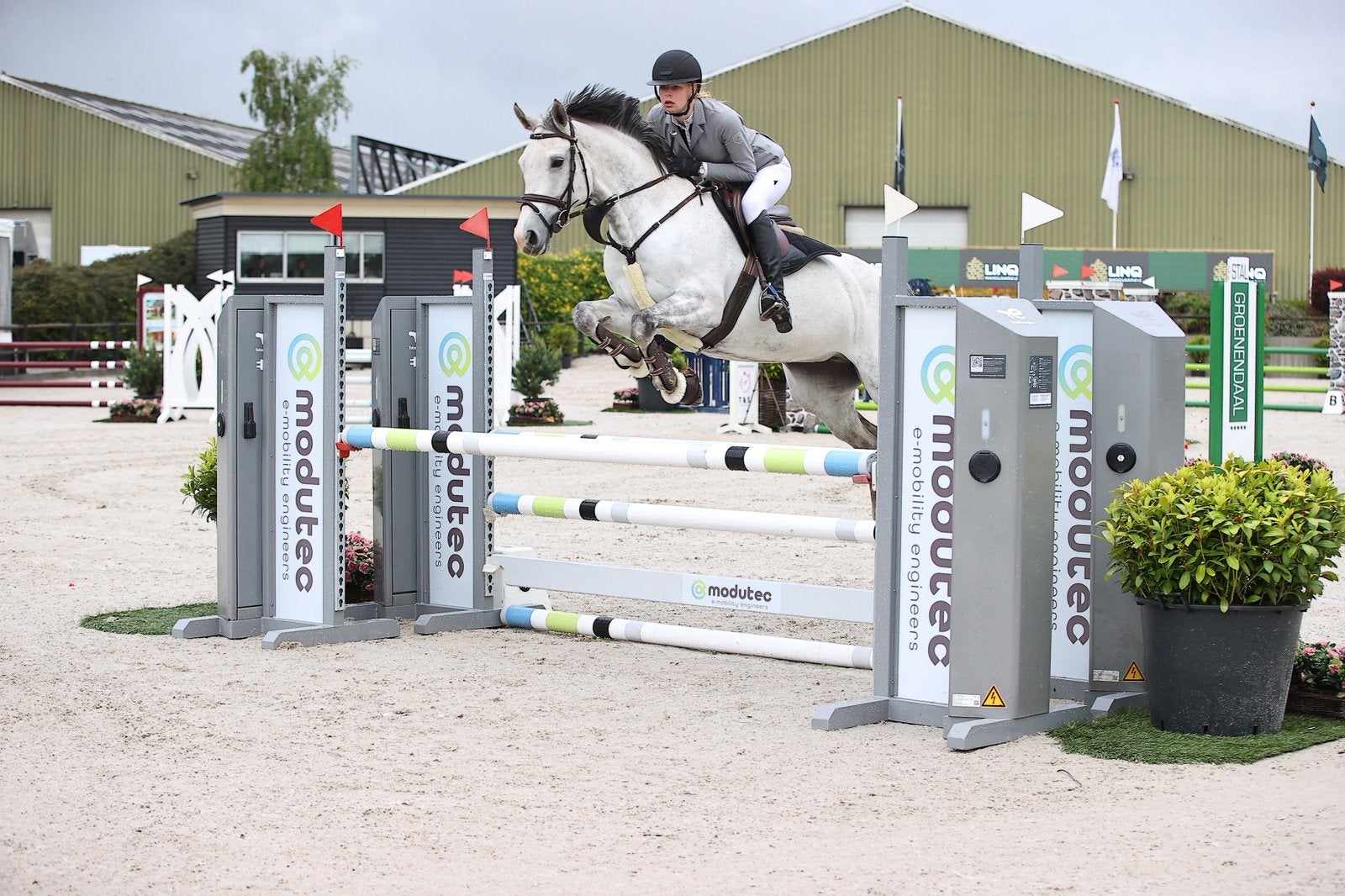Leasepony / klein paard aangeboden, Diensten en Vakmensen, Dieren | Paarden | Verzorging, Oppas en Les