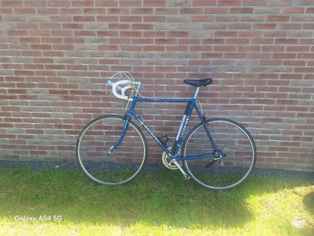 Batavus champion, Fietsen en Brommers, Fietsen | Racefietsen, Ophalen of Verzenden, Minder dan 10 versnellingen, Batavus