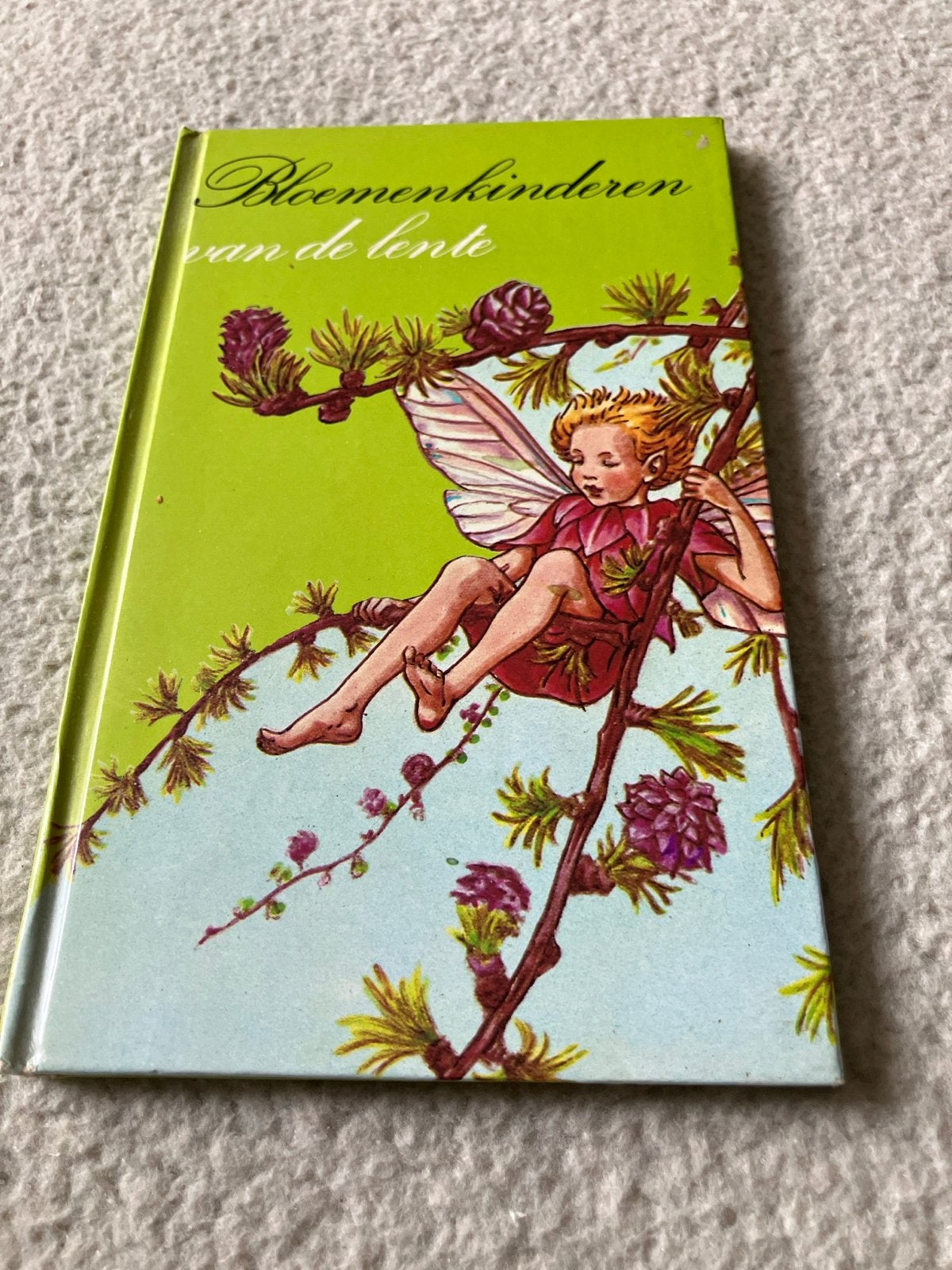 Bloemenkinderen van de lente - Cicely Mary Barker, Ophalen of Verzenden, Gelezen, Sprookjes
