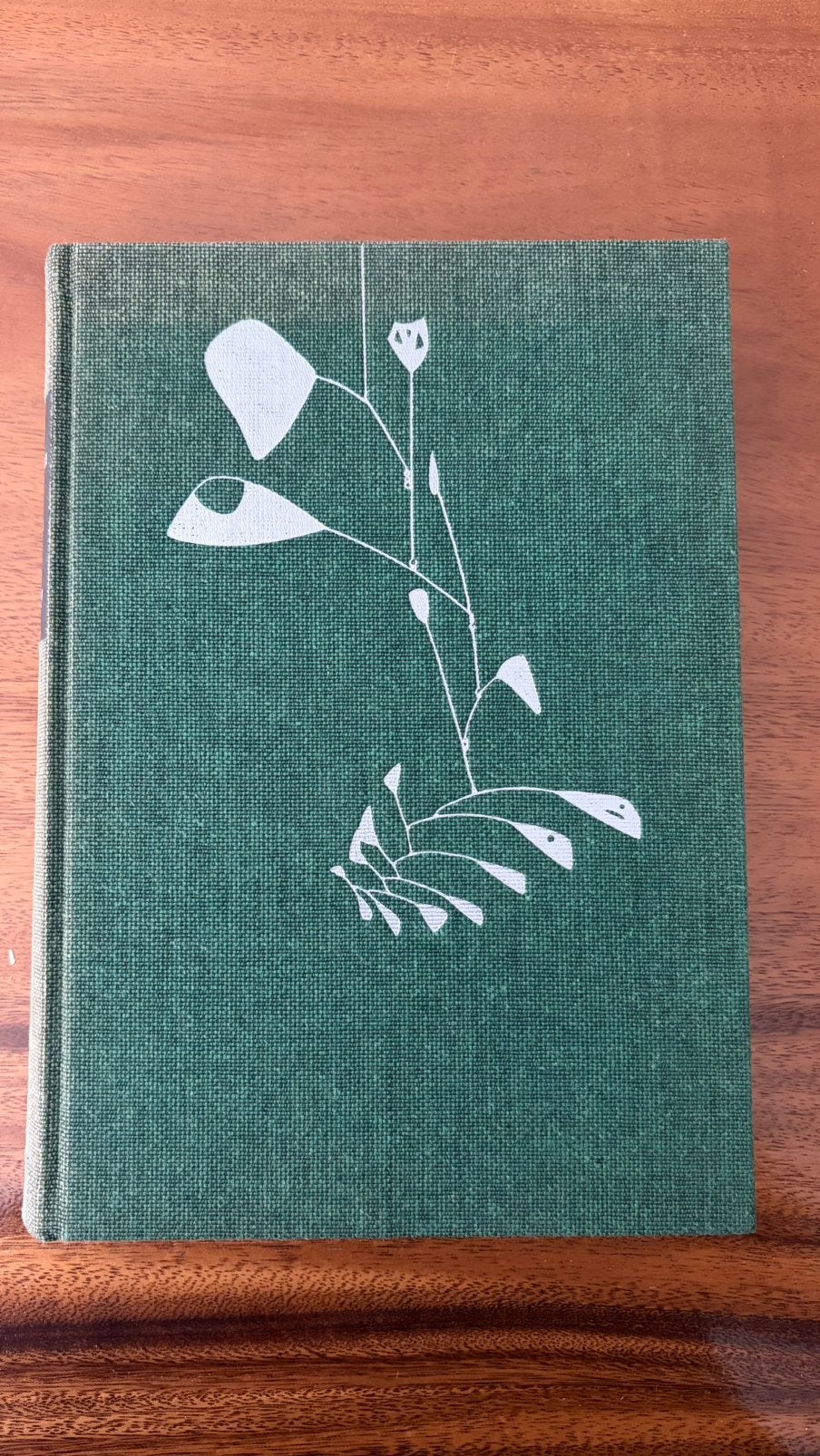 American Art of the 20th Century uitgegeven 1973, Ophalen of Verzenden, Gelezen, Overige onderwerpen