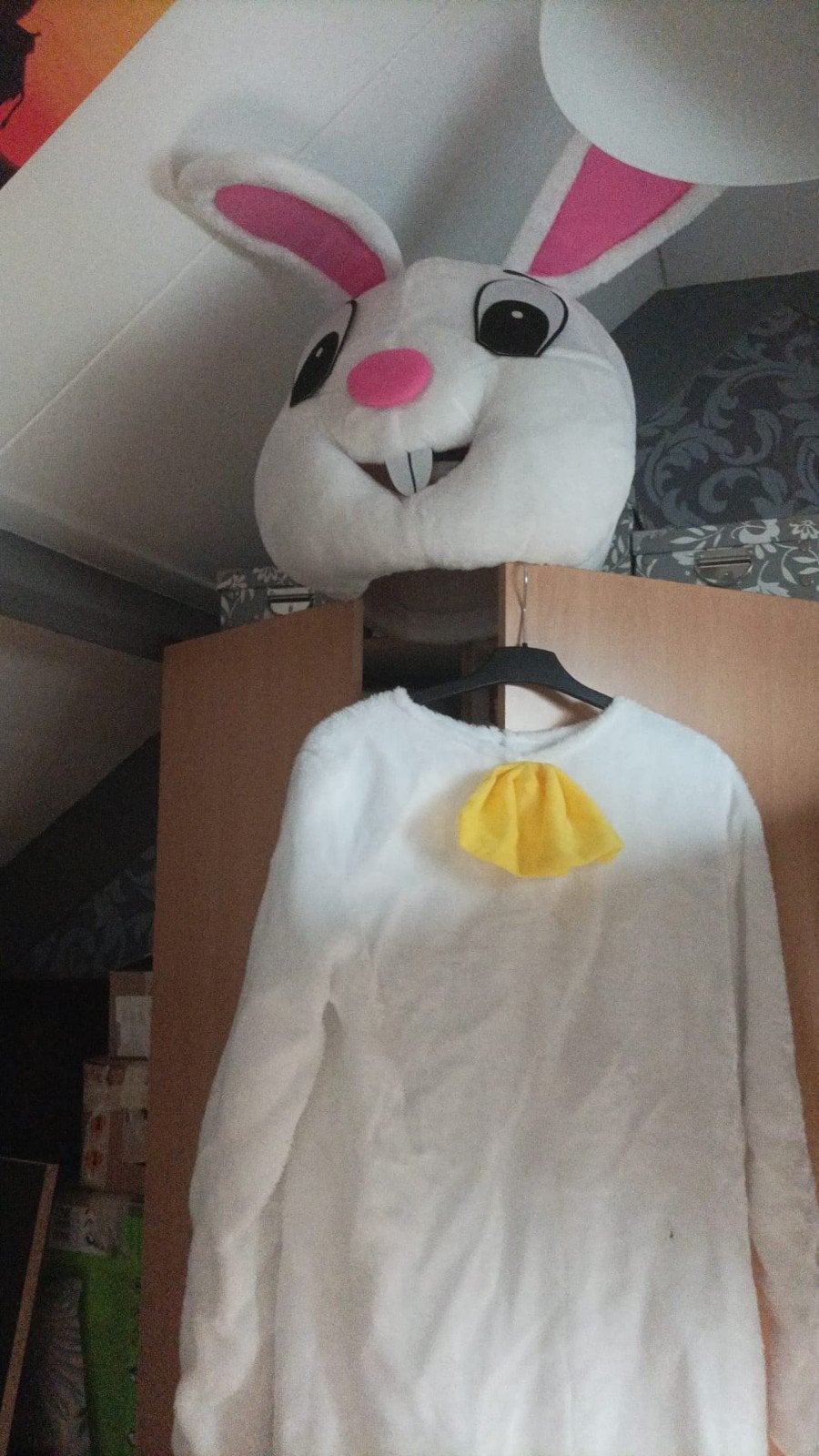 Paashaas Mascotte Pak - Huur of Koop, Ophalen of Verzenden