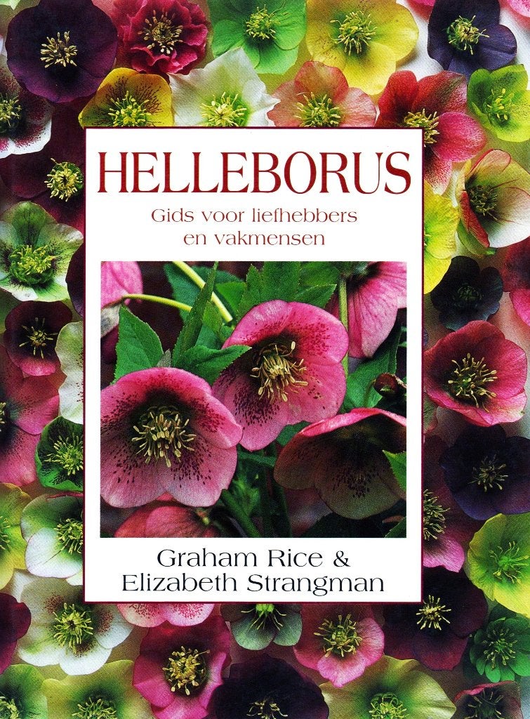 Helleborus - Graham Rice & Elizabeth Strangman 9789060974568, Ophalen of Verzenden, Zo goed als nieuw, Tuinieren en Tuinplanten