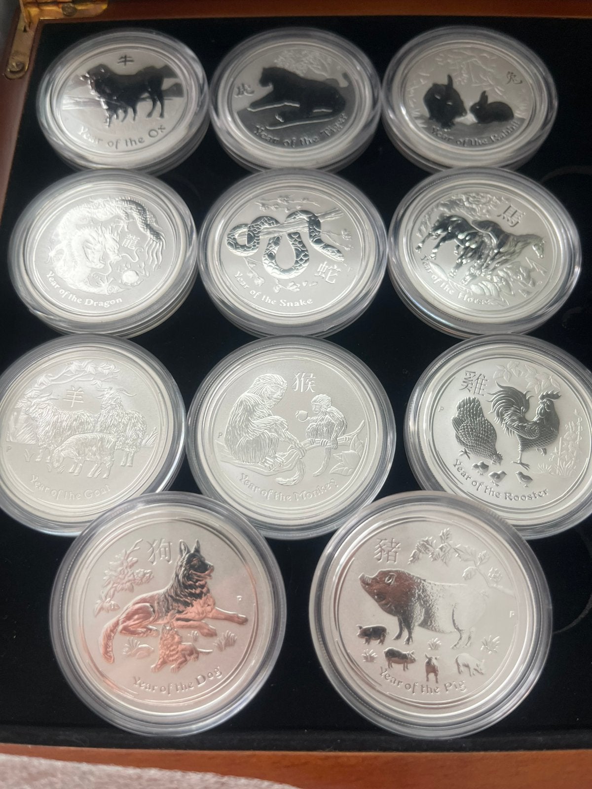 Australia 🇨🇰Lunar 2 : 11x 1/2 ounce, Ophalen of Verzenden, Zilver