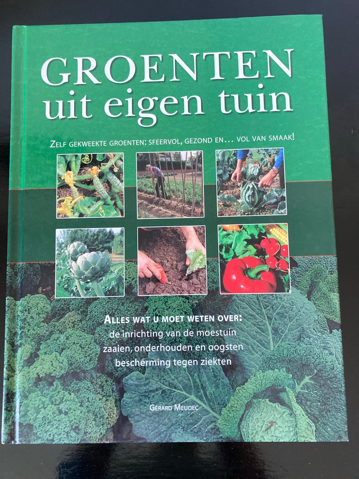 Groenten uit eigen tuin - Handboek moestuinieren, Ophalen of Verzenden, Zo goed als nieuw, Moestuin