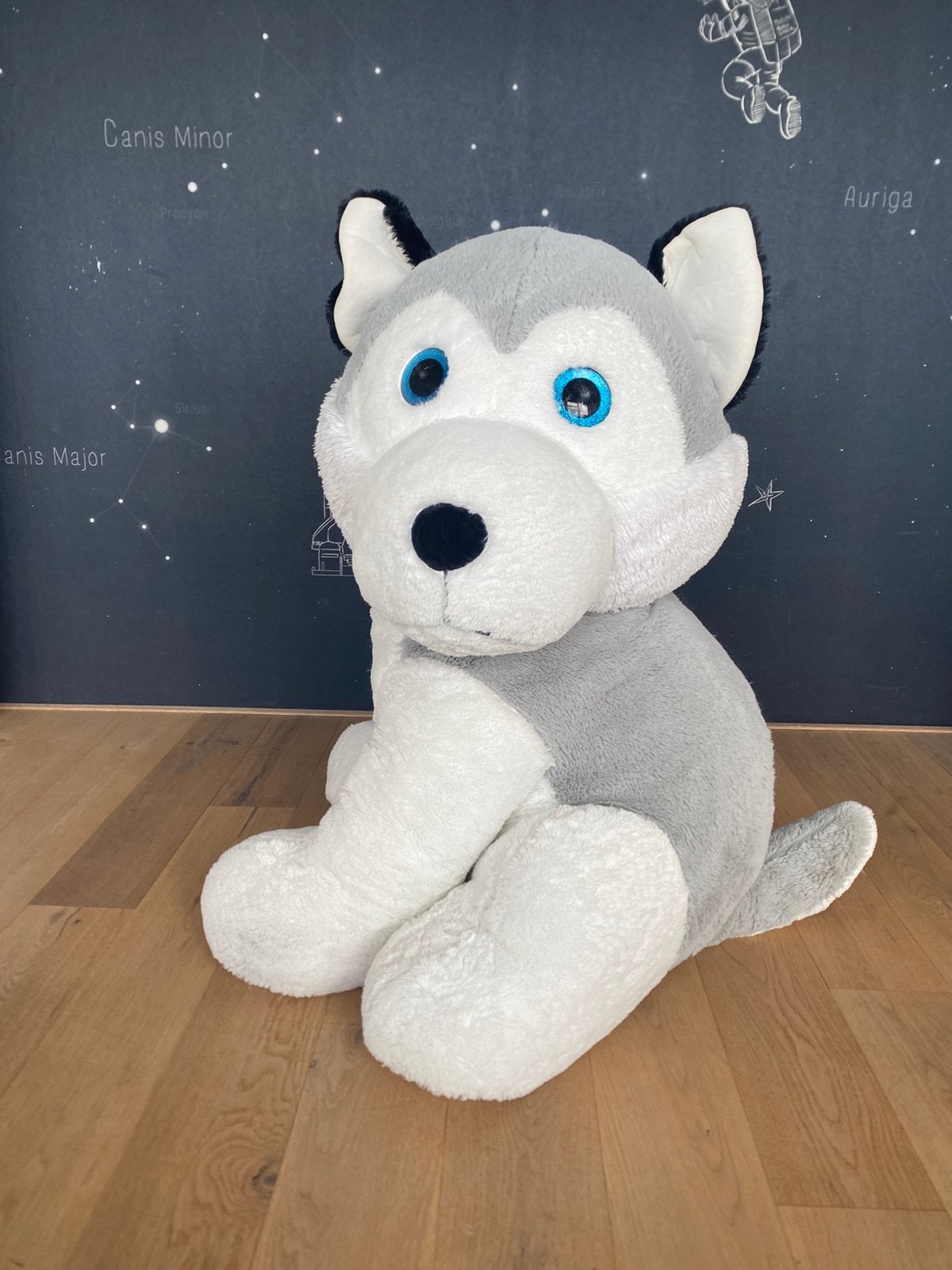 Gigantische, superzachte knuffel husky, Ophalen, Overige merken, Overige karakters, Grijs