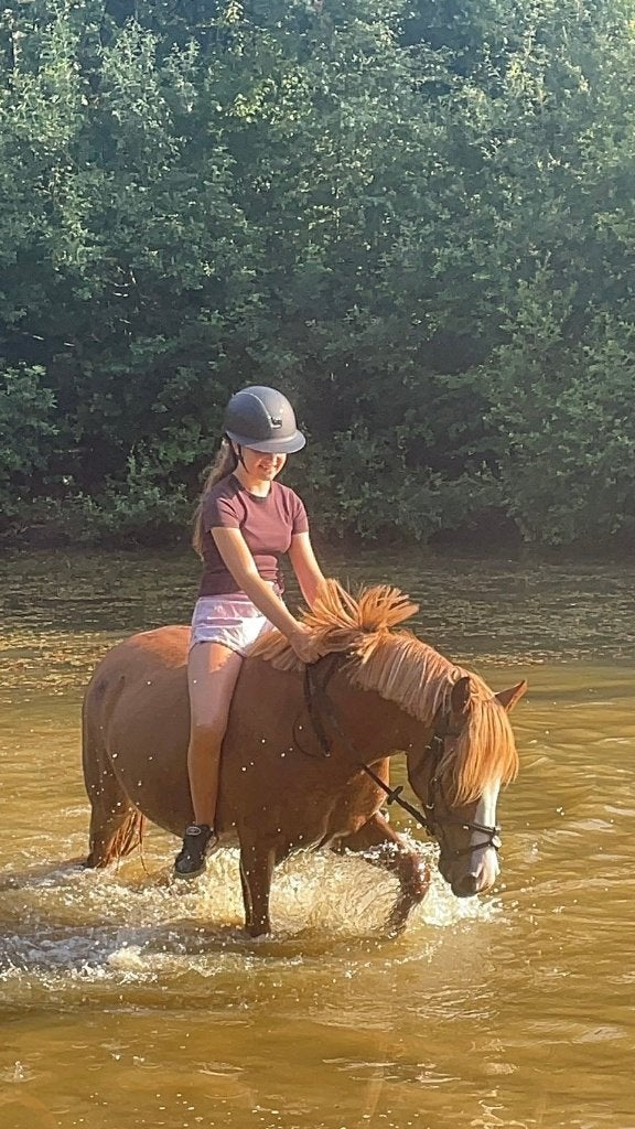 Brave kinderpony, B, 3 tot 6 jaar, Recreatiepony, D pony (1.37m tot 1.48m)