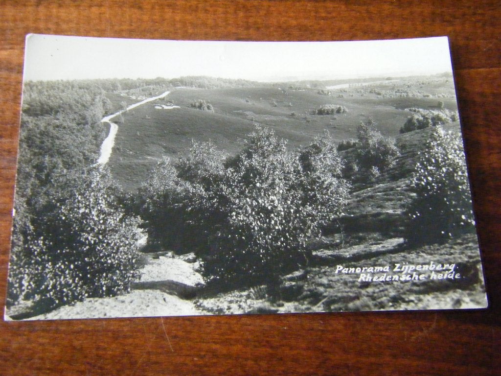 B40 - Rheden - Panorama Zijpenberg - Mooi/Oud, Verzamelen, Ansichtkaarten | Nederland, Ophalen of Verzenden, 1940 tot 1960, Gelderland