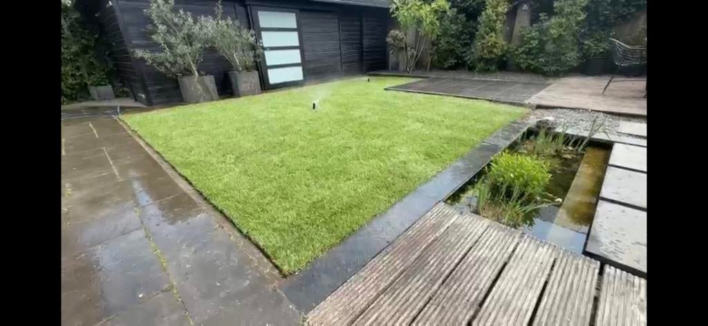 Gras onderhoud of vernieuwen