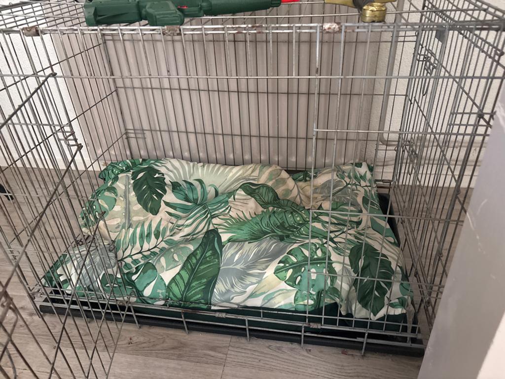 Grote bench met moooi nieuw kussen er bij, Ophalen of Verzenden