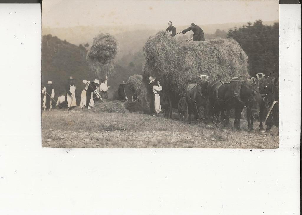 Onbekend Hooi opsteken op paardenkar  Fotokaart, Ophalen of Verzenden, Voor 1920, Ongelopen, Frankrijk