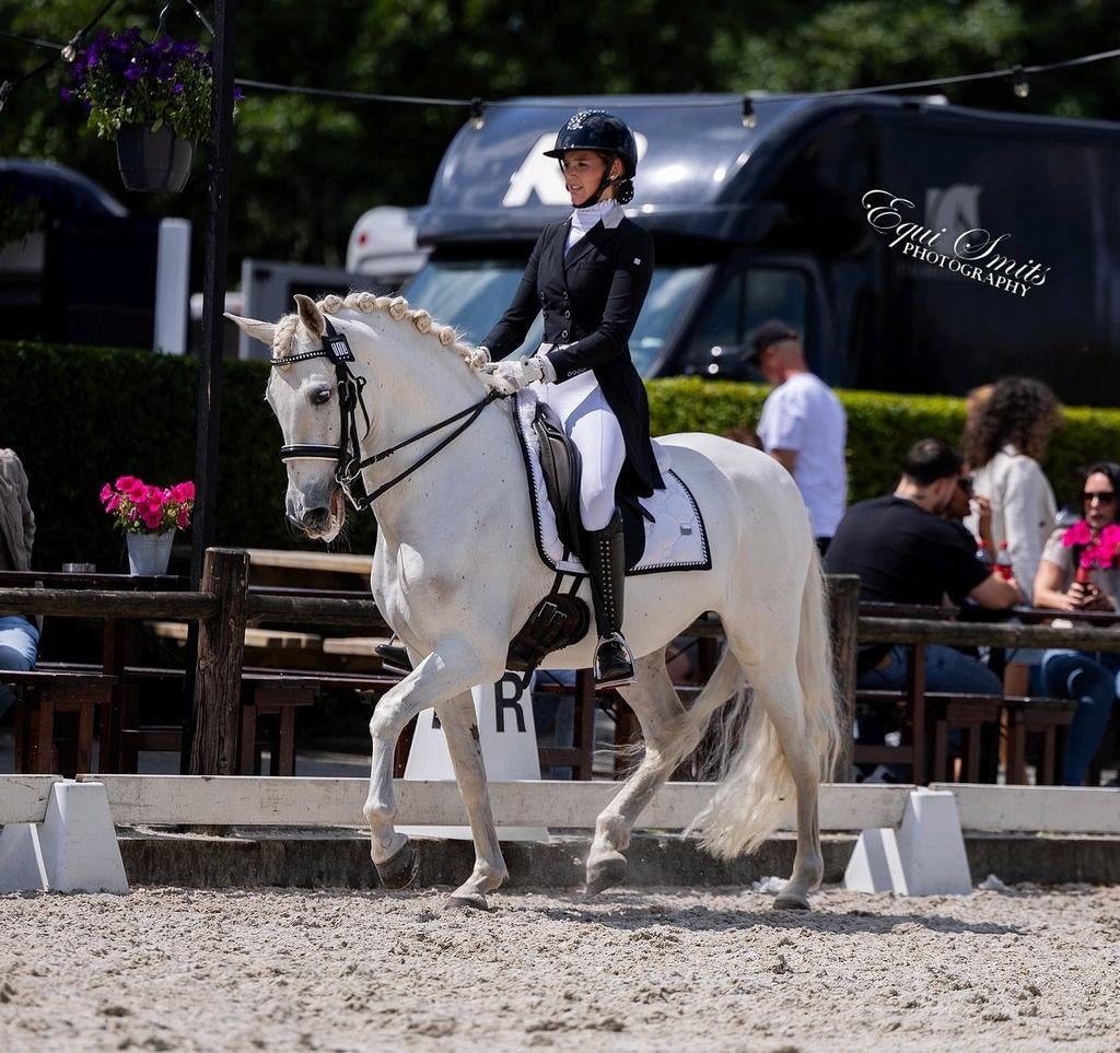 Prachtige PRE sport merrie, Dieren en Toebehoren, Paarden, Merrie, Minder dan 160 cm, Dressuurpaard, 11 jaar of ouder