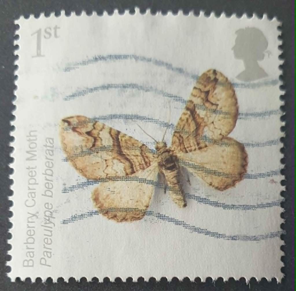 196-26 Engeland / Barberry Carpet Moth, Verzenden, Gestempeld