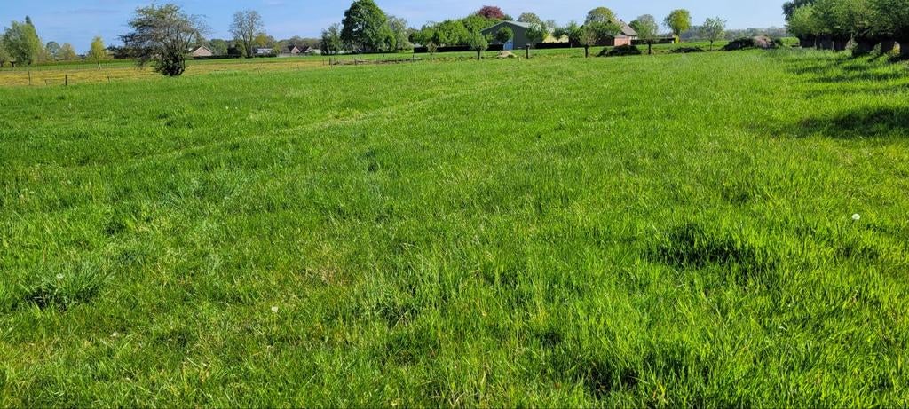 Kleine pakjes hooi, Dieren en Toebehoren, Dierenvoeding, Ophalen of Verzenden, Vee