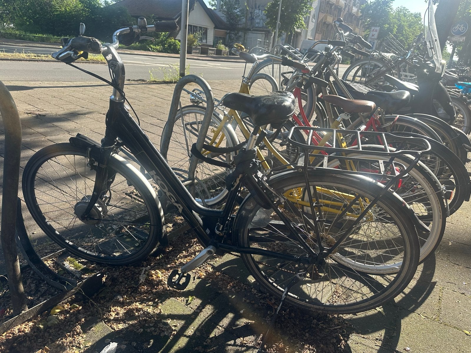 Koga Miyata damesfiets met versnellingen, Velgrem, Versnellingen, Ophalen, Overige merken