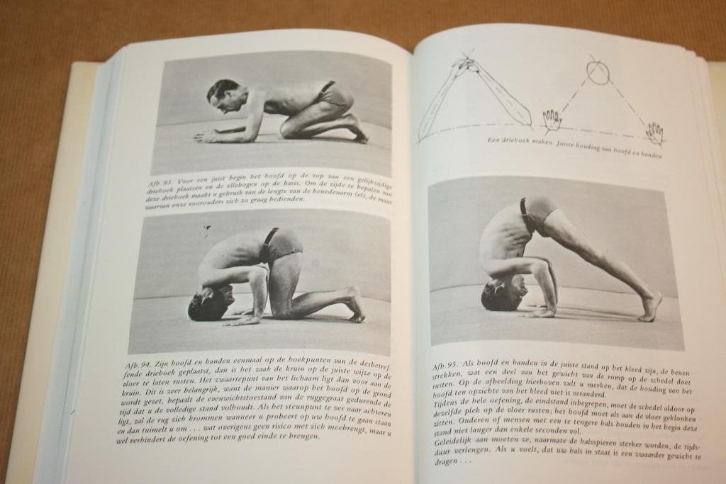 Yoga doen en begrijpen - Lysebeth - Ankh-Hermes, Boeken, Ophalen of Verzenden, Gelezen, Overige onderwerpen, Achtergrond en Informatie