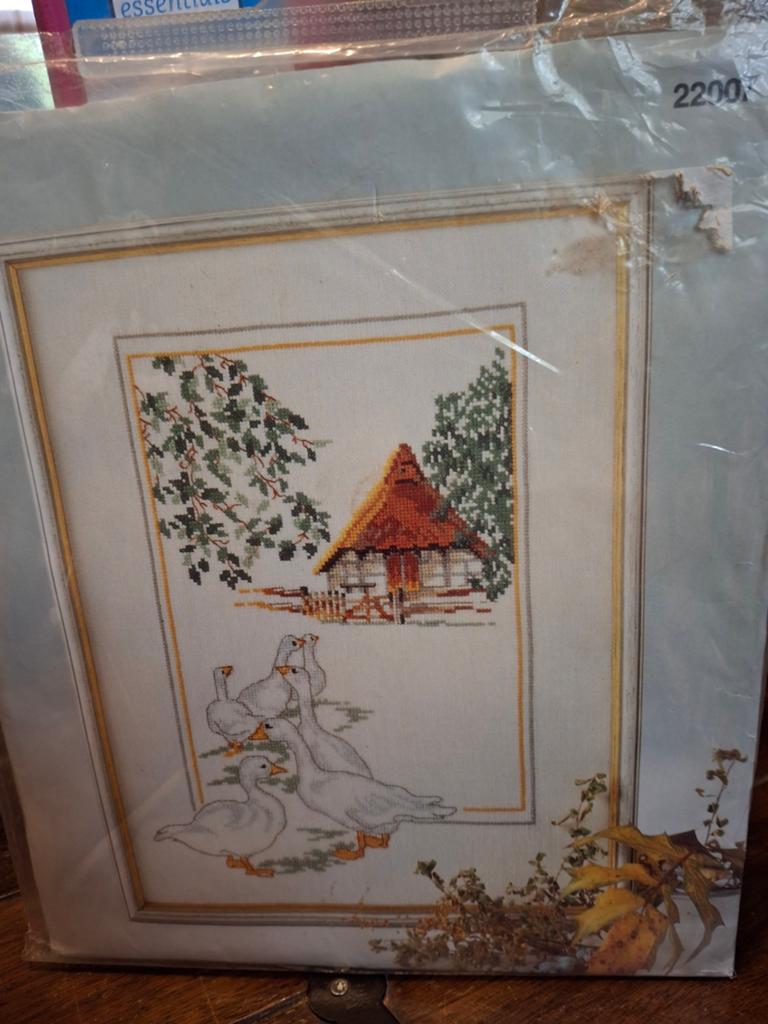 Ganzen, Ophalen of Verzenden, Nieuw, Borduurpakket