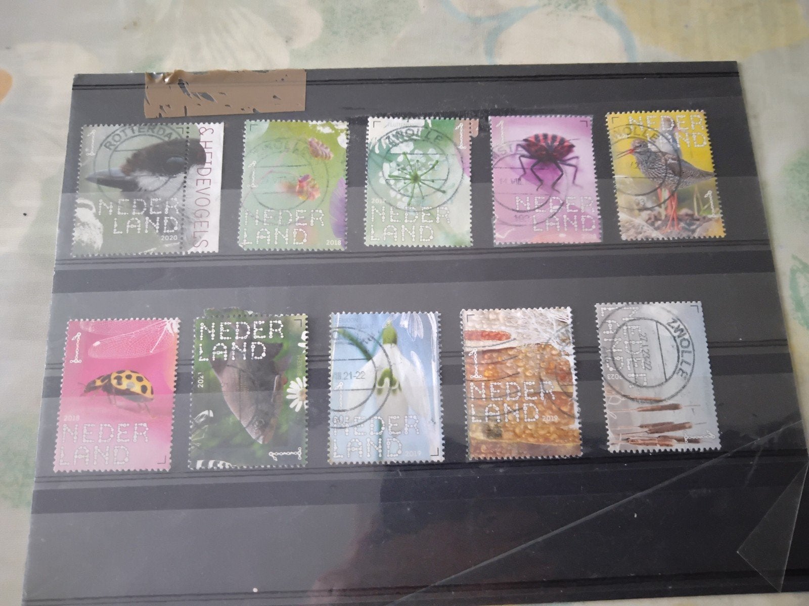 Modern Nederland, Postzegels en Munten, Postzegels | Volle albums en Verzamelingen, Ophalen of Verzenden, Nederland