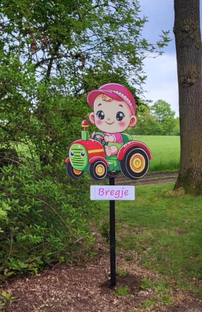 Geboortebord huren - grote keuze - Gekkepoppen Hengelo, Hobby en Vrije tijd, Feestartikelen | Verhuur, Ophalen of Verzenden, Zo goed als nieuw