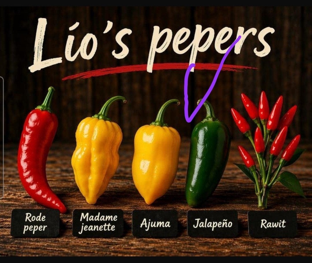 Pepers. Madame jeanette, adjuma, Jalapeňo, rawit, rode, Tuin en Terras, Ophalen