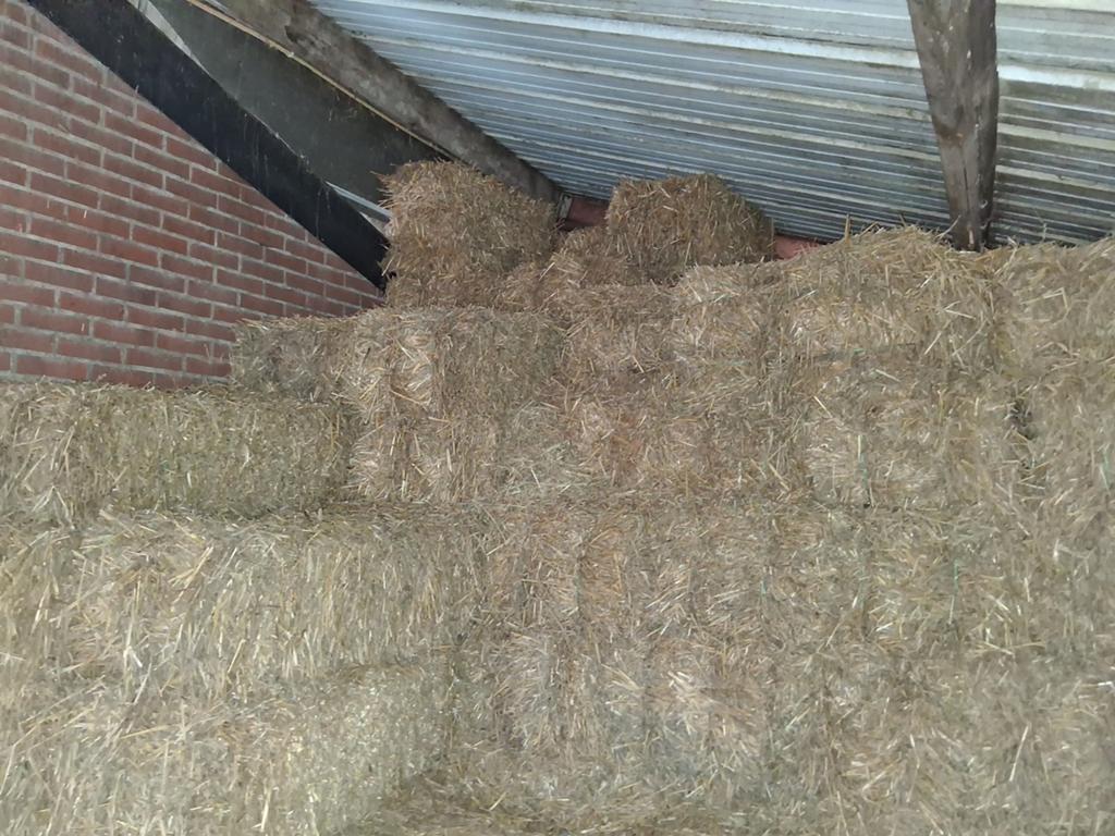 Tarwestro, Dieren en Toebehoren, Dierenvoeding, Ophalen of Verzenden, Vee