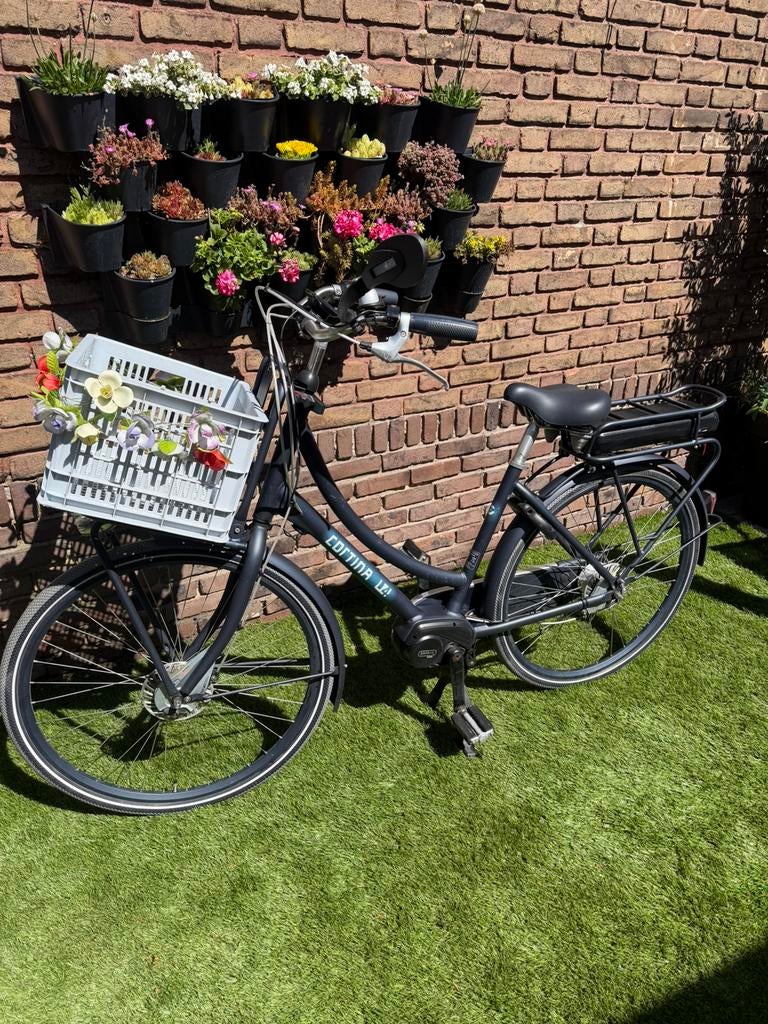 Cortina u4 elektrische fiets maat D50, Ophalen, Zo goed als nieuw, 47 tot 51 cm, Cortina