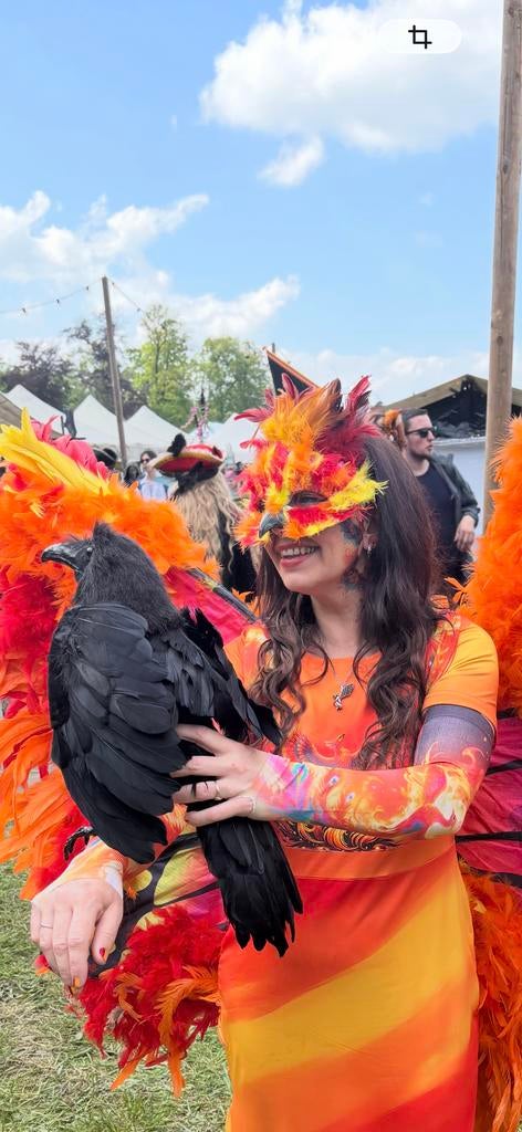 Phoenix Kostuum Maat 40 met Handgemaakte Verlichte Vleugels, Kleding | Dames, Carnavalskleding en Feestkleding, Ophalen of Verzenden