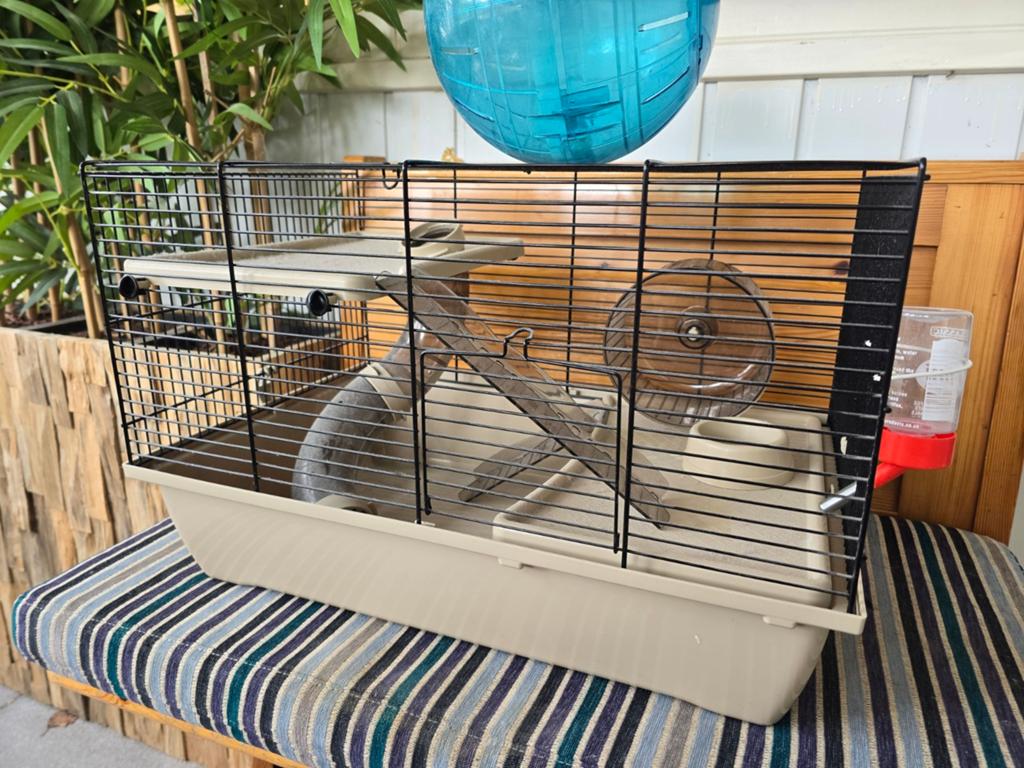 Hamster muizen kooi en hamsterbal, compleet voor binnen, Dieren en Toebehoren, Kooi, Gebruikt, Minder dan 75 cm, Muis