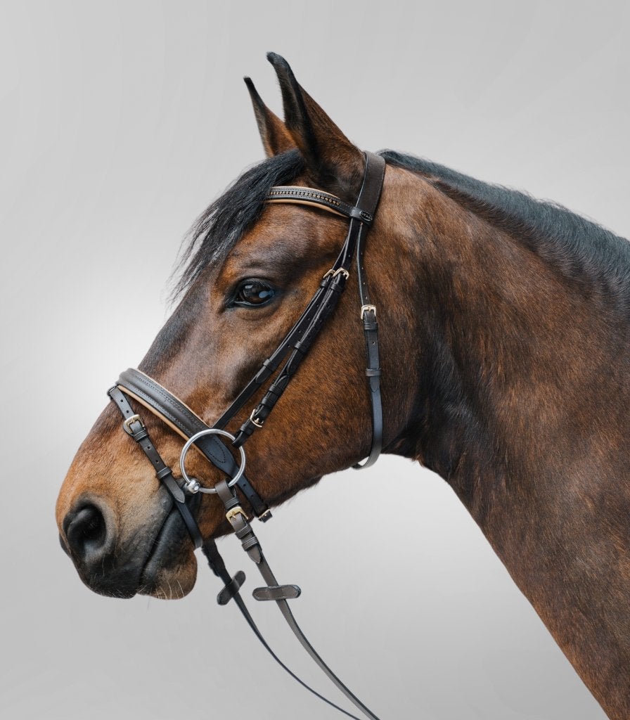 Star Diamond hoofdstel Bruin/Goud maat Mini Shetlander, Dieren en Toebehoren, ., Nieuw, Ophalen of Verzenden, .