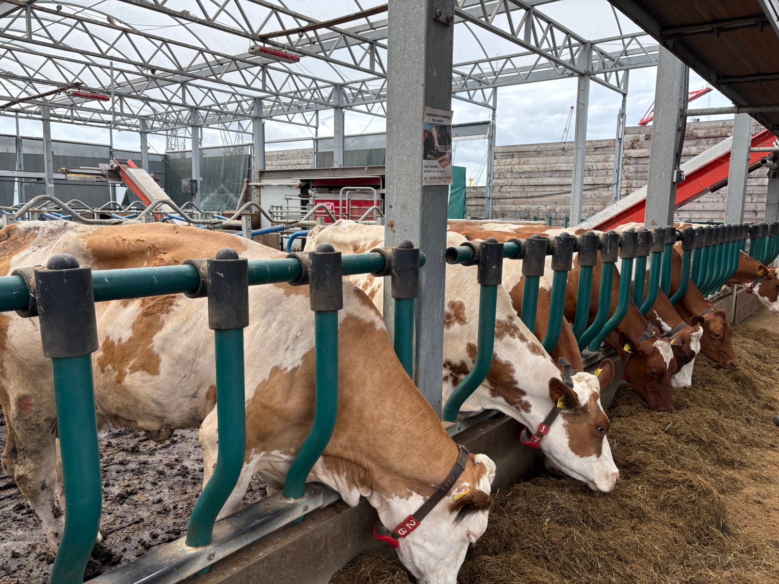 Easyfix voerhek, Dieren en Toebehoren, Meerdere dieren