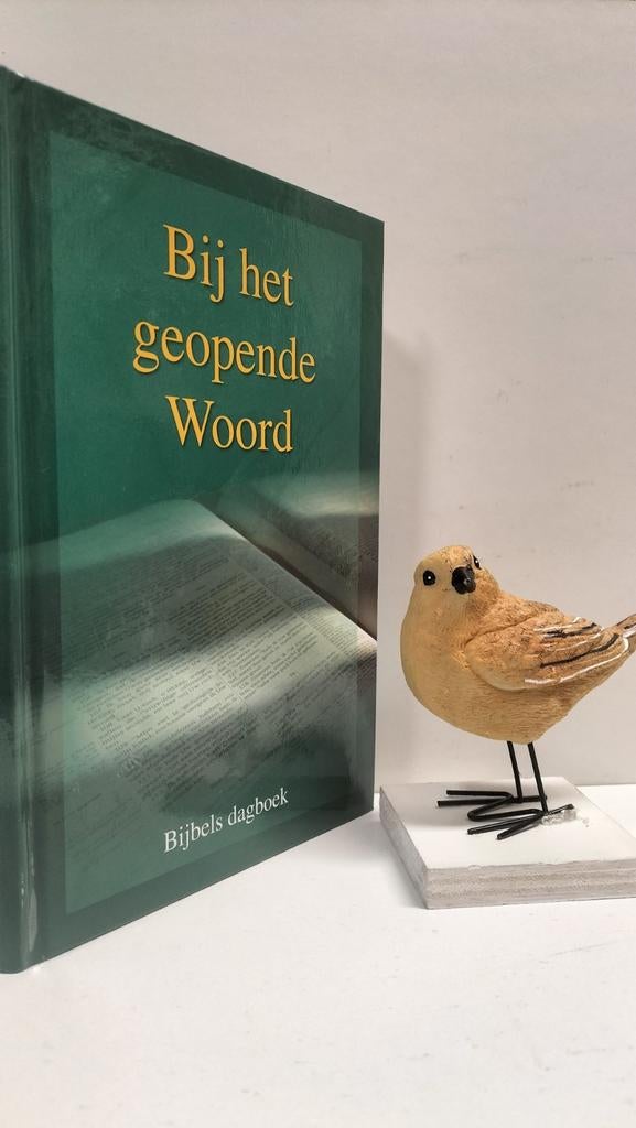 Div. Ger. Gem. predikanten; Bij het geopende Woord 2013, Ophalen of Verzenden, Gelezen, Christendom | Protestants