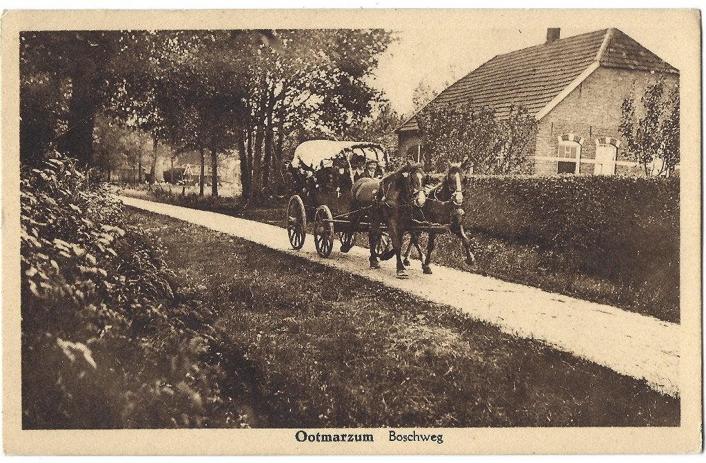 Ootmarsum, Boschweg, Verzenden, 1920 tot 1940, Ongelopen, Overijssel
