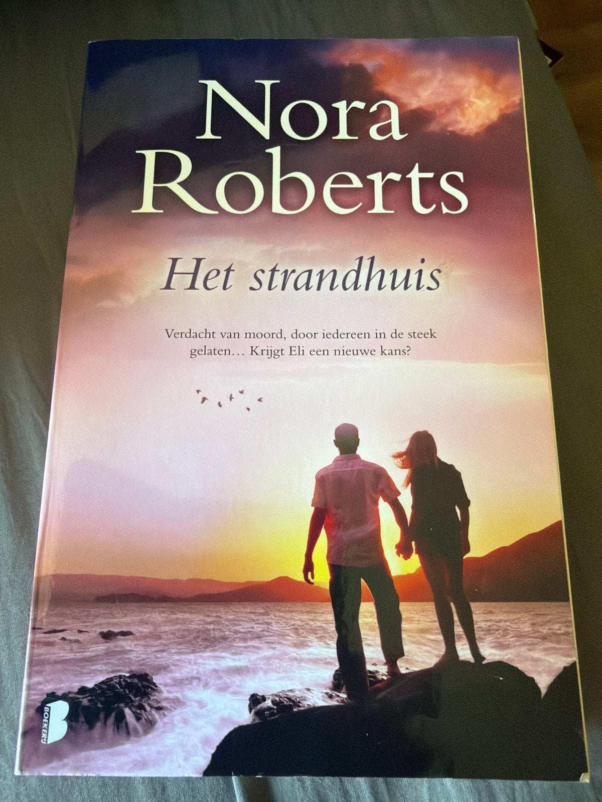 S4.  Nora Roberts - Het strandhuis, Ophalen of Verzenden, Gelezen, Nederland