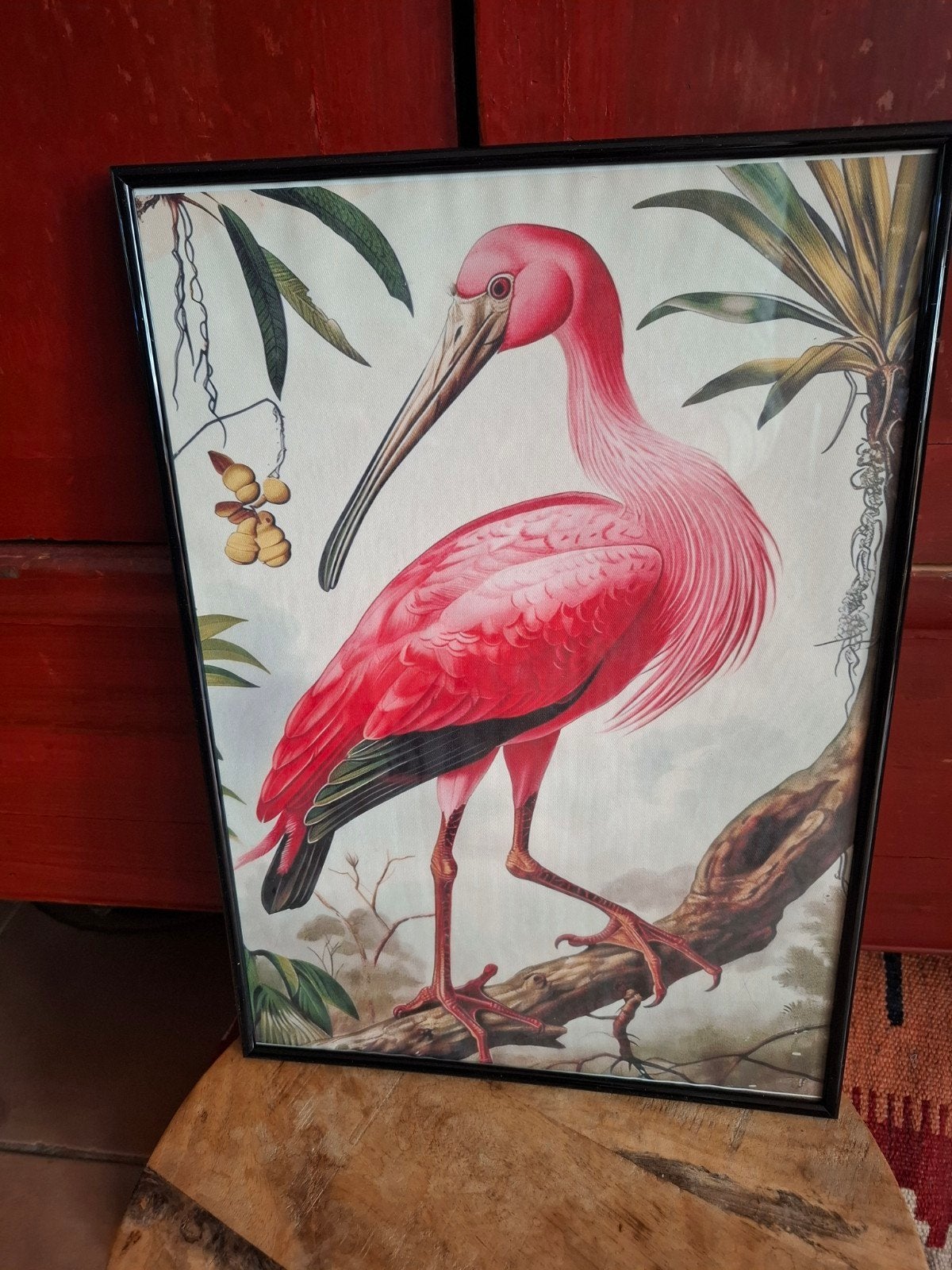 Vogel schilderij Ibis reproductie John Audubon ingelijst, Dieren, Ophalen of Verzenden, Klassiek, Print