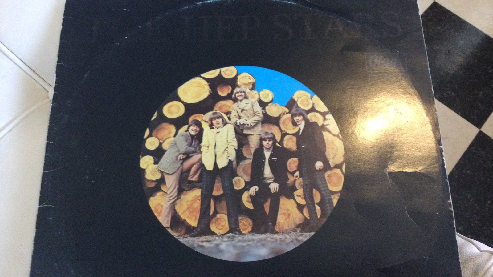 LP The Hep Stars, Ophalen of Verzenden, Gebruikt, 12 inch, Poprock