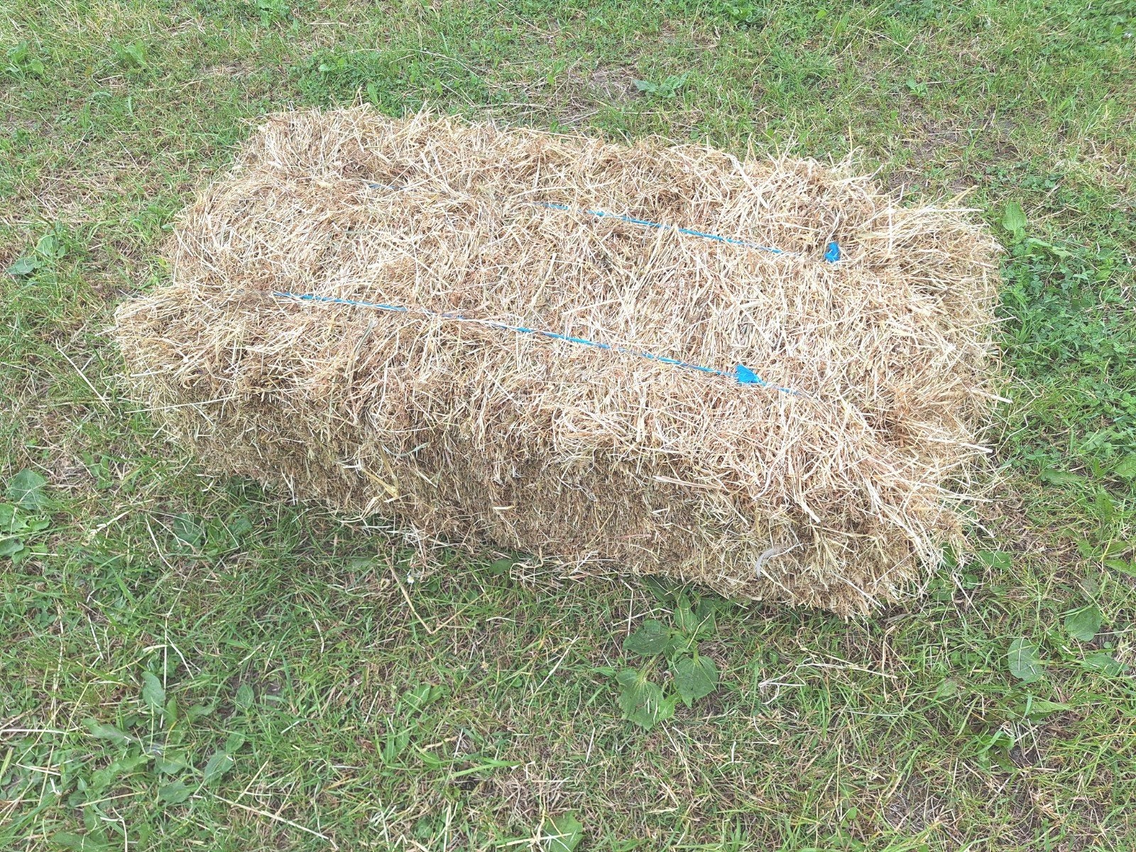 Hooibalen klein, onbemest, Dieren en Toebehoren, Dierenvoeding, Ophalen, Vee