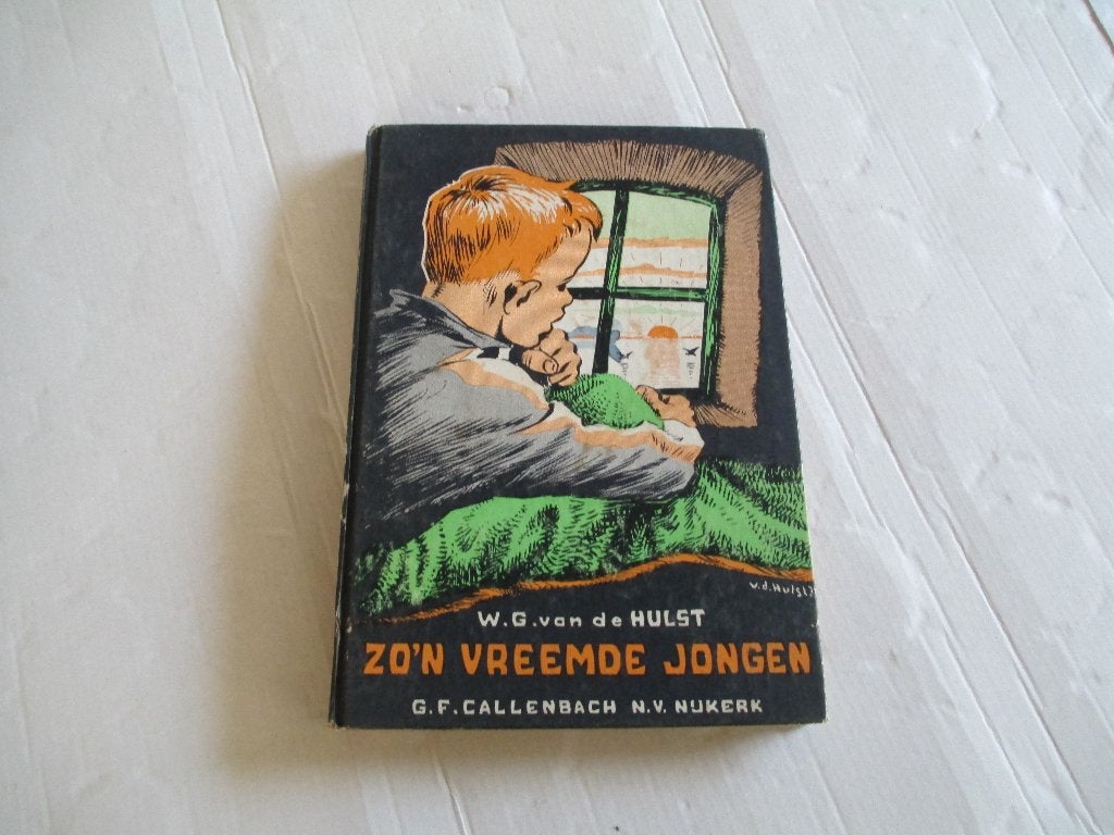 zo'n vreemde jongen - w.g. van de hulst, Ophalen of Verzenden, Gelezen, Fictie algemeen