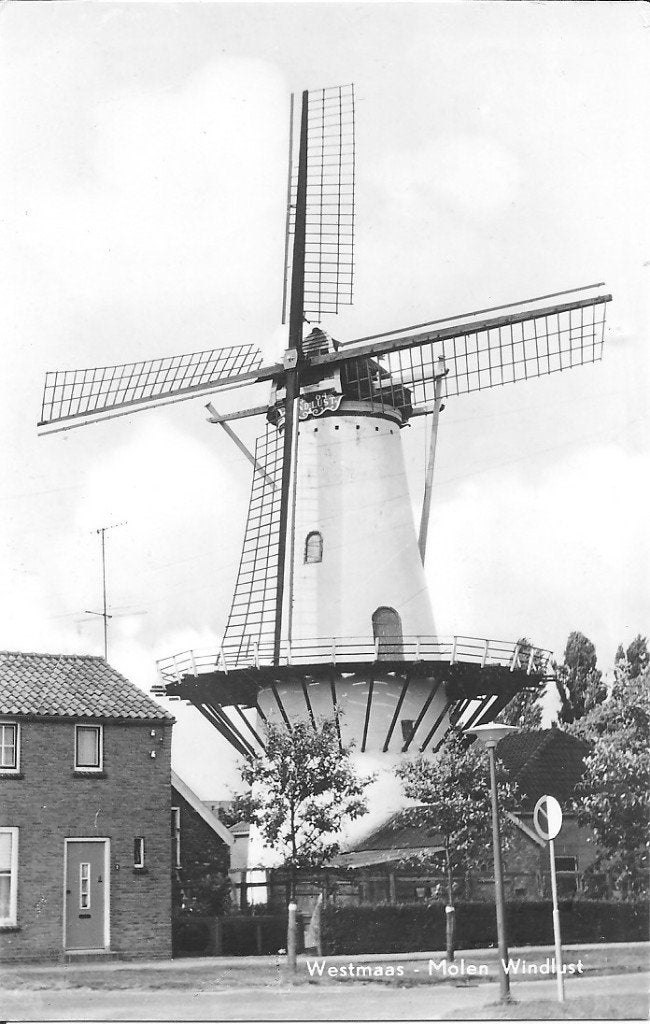 Oude Ansichtkaart Westmaas - Molen Windlust (Gelopen), Ophalen of Verzenden, 1960 tot 1980, Gelopen, Zuid-Holland